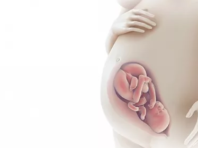 к чему снится эмбрион ребенка
